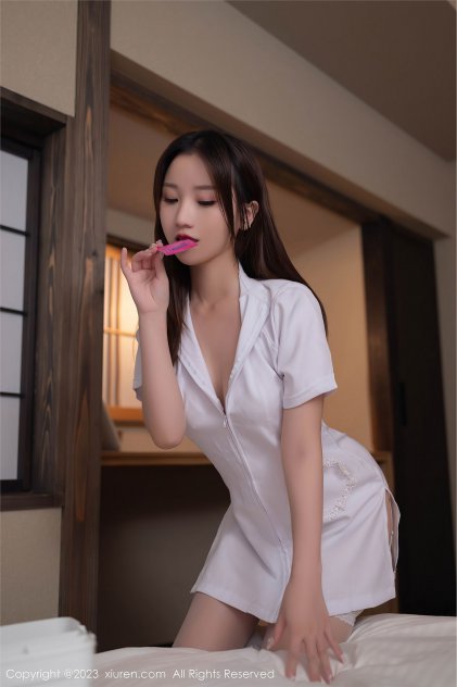 野猫少女